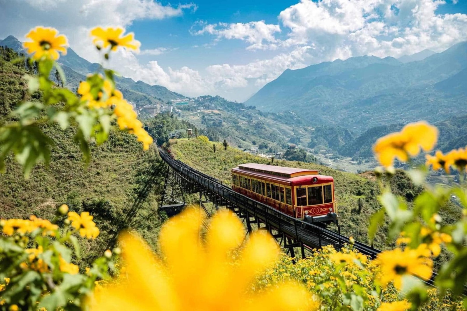 Red mountain train through wildflowers